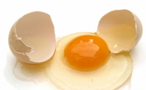 egg yolk