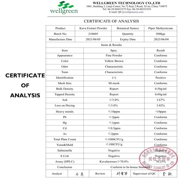 Kava Extract Powder